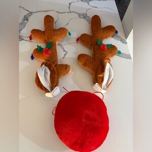 Reindeer Antlers and Red Nose Car Kit